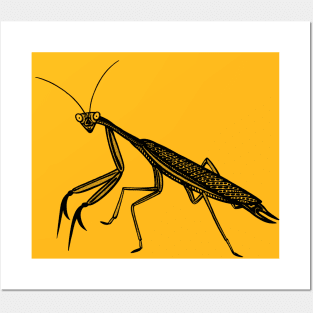 Praying Mantis - hand drawn detailed animal lovers design Posters and Art